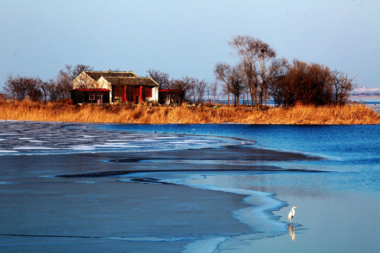 衡水湖风光.jpg