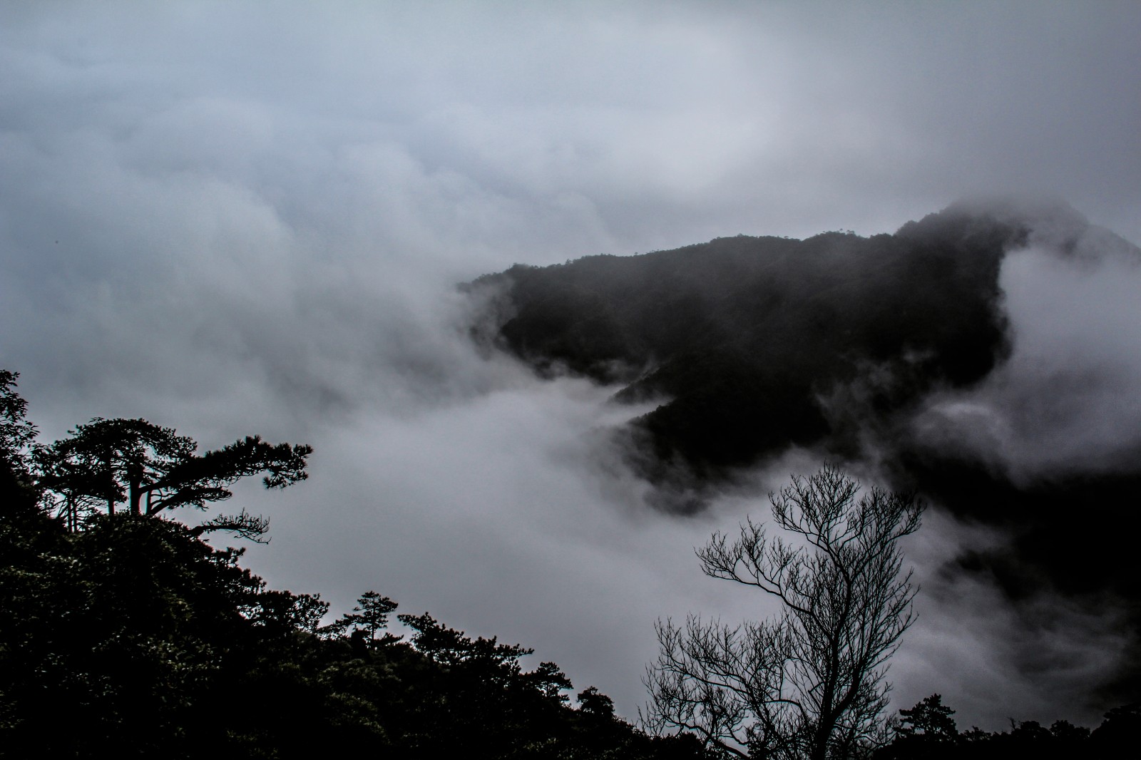 三清山晨曦.jpg