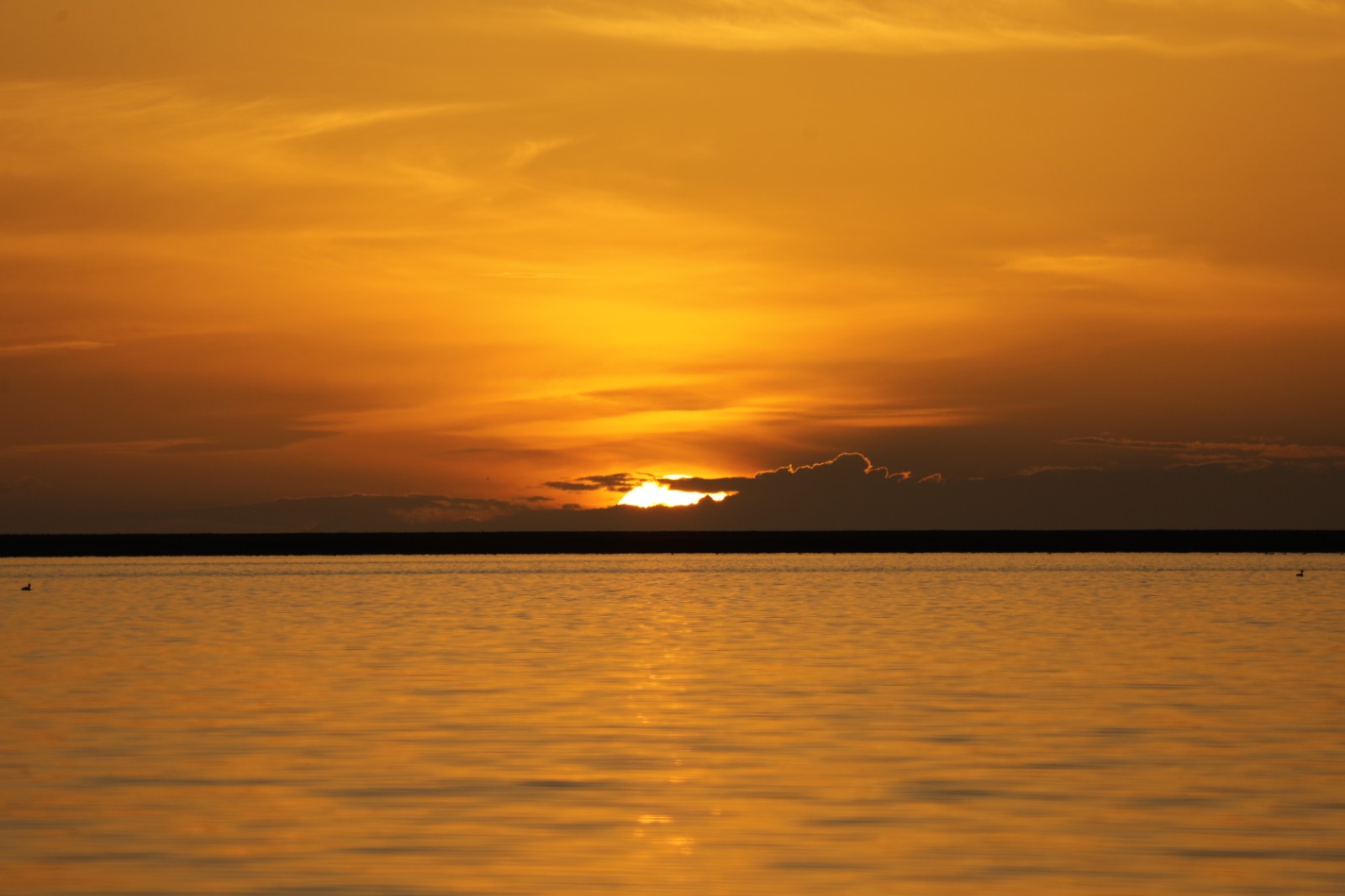 海滩上日落.jpg