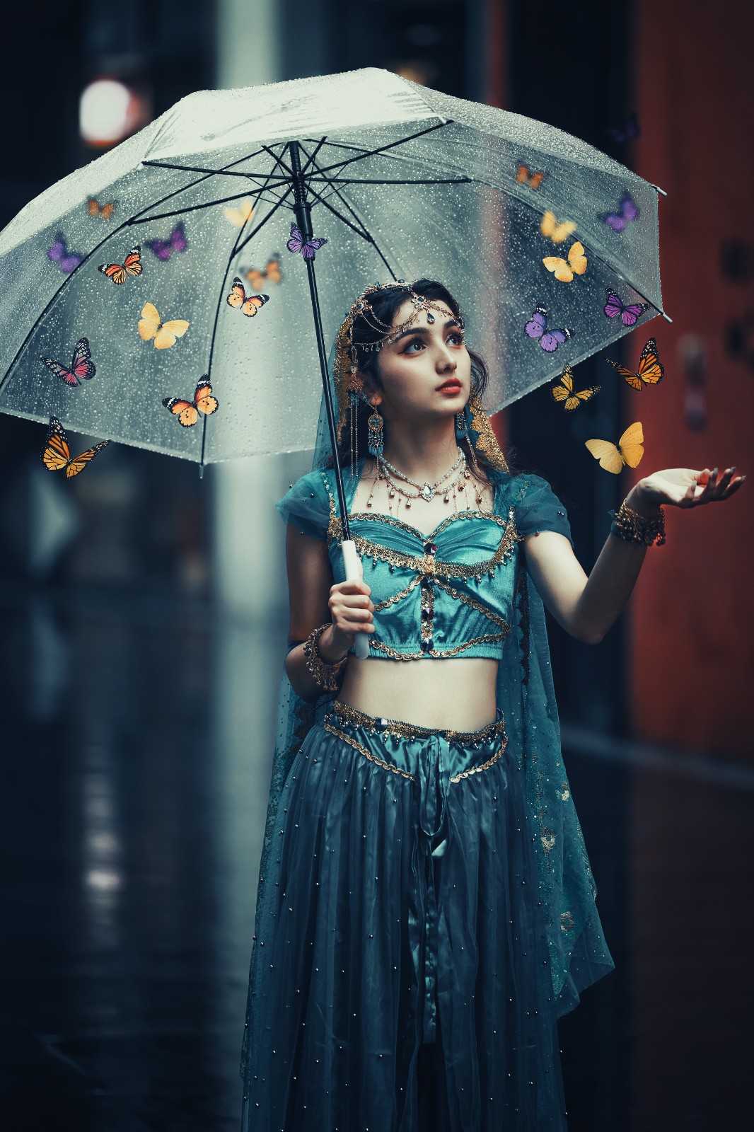 Butterfly Dream 蝴蝶梦.jpg