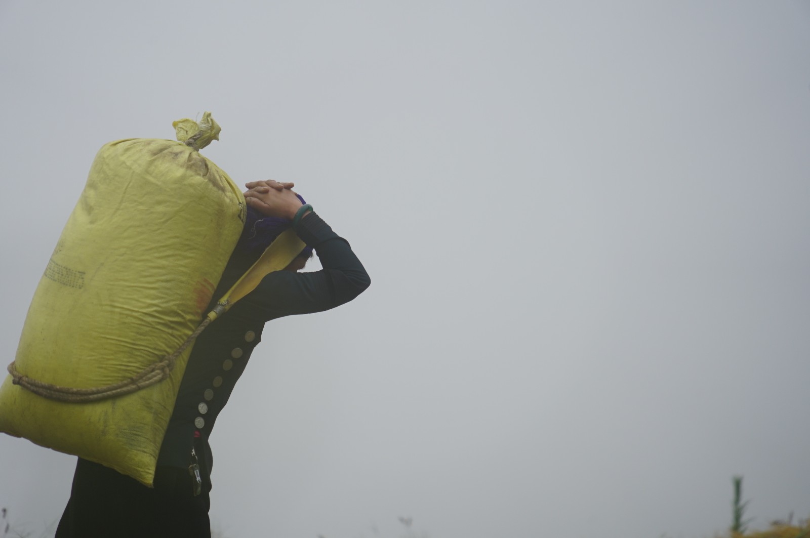 农村丰收 (6).jpg