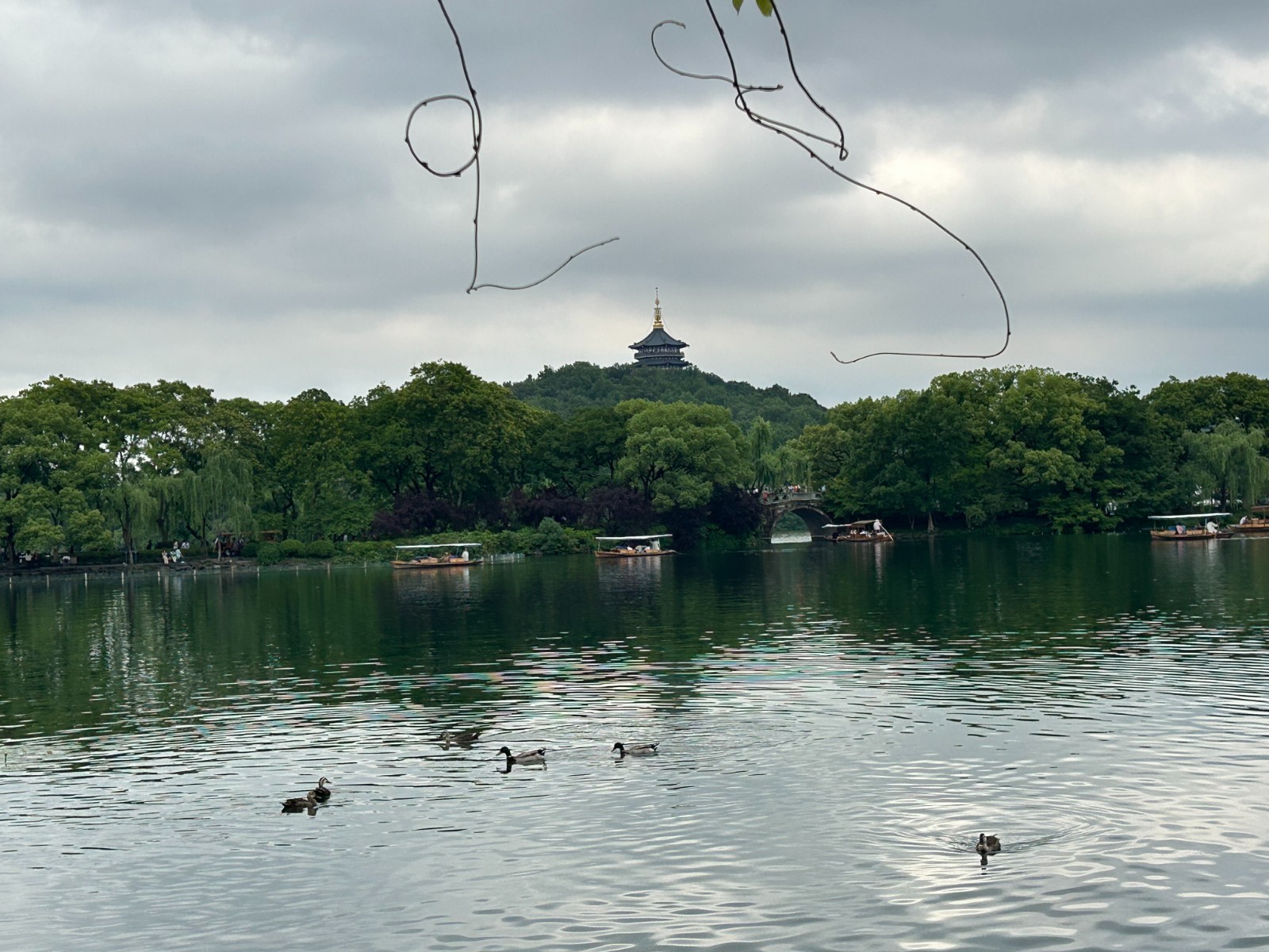 《美丽杭州西湖》 (5).jpg