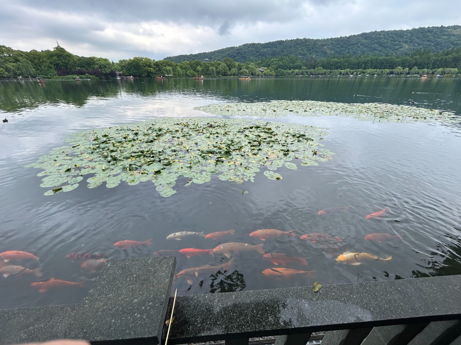 《美丽杭州西湖》 (4).jpg