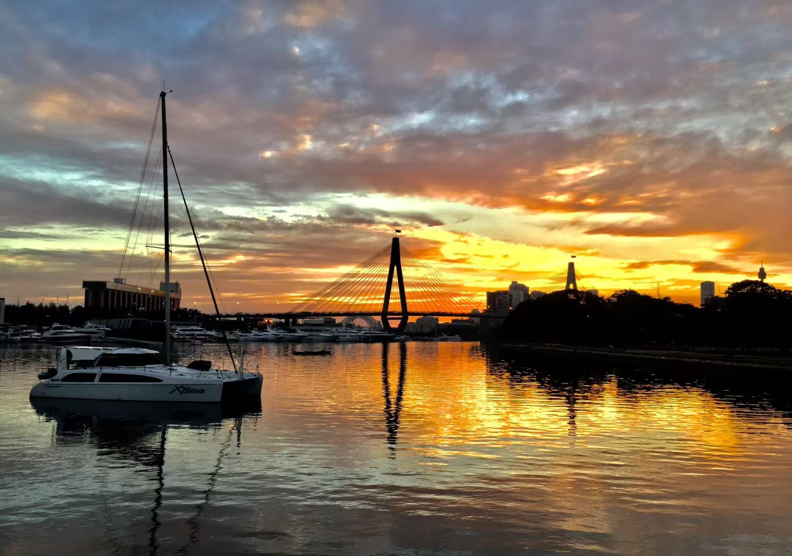 《海湾晨光》 金奖.jpg