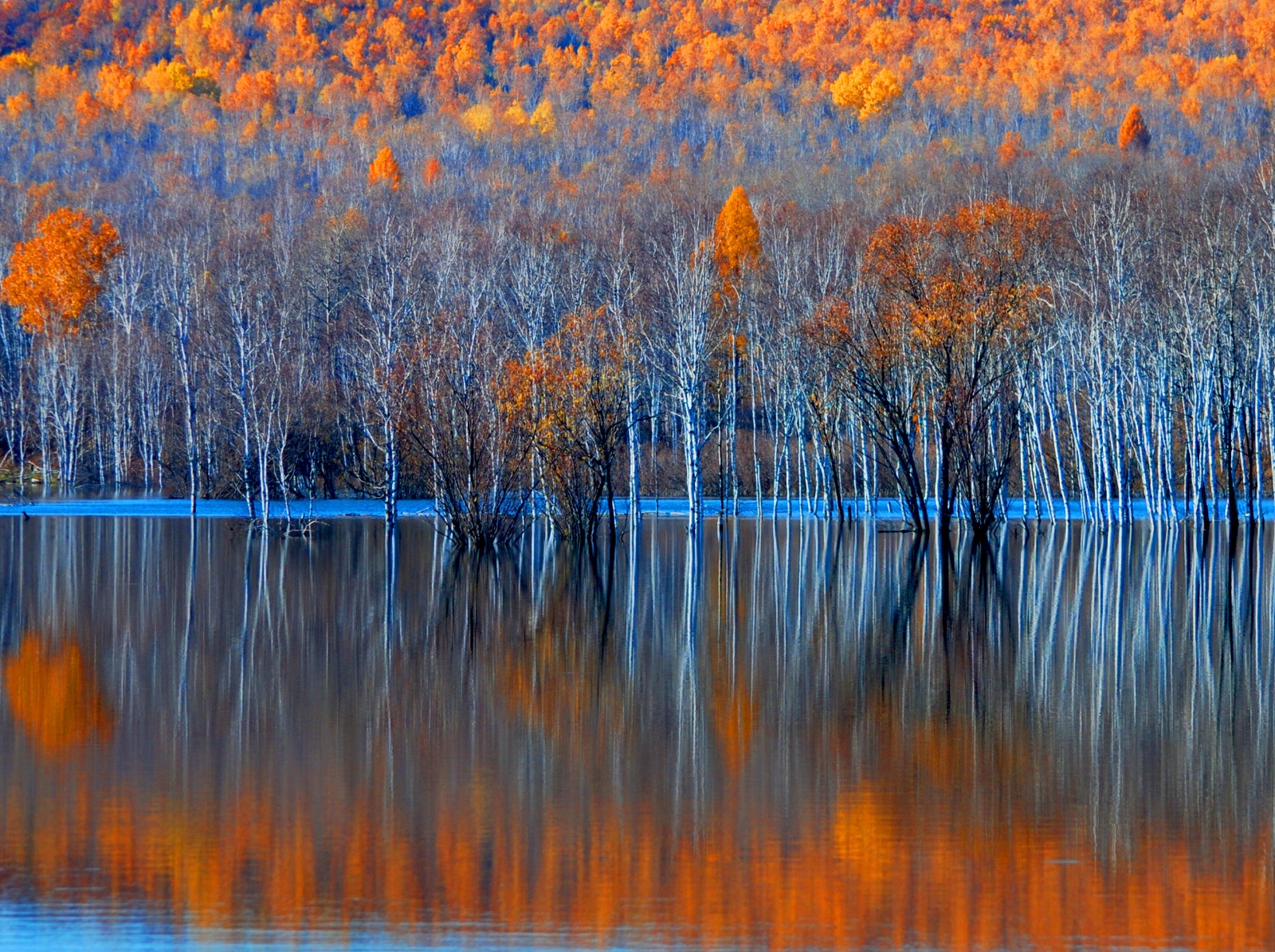 《静谧染深秋》 金奖作品.jpg