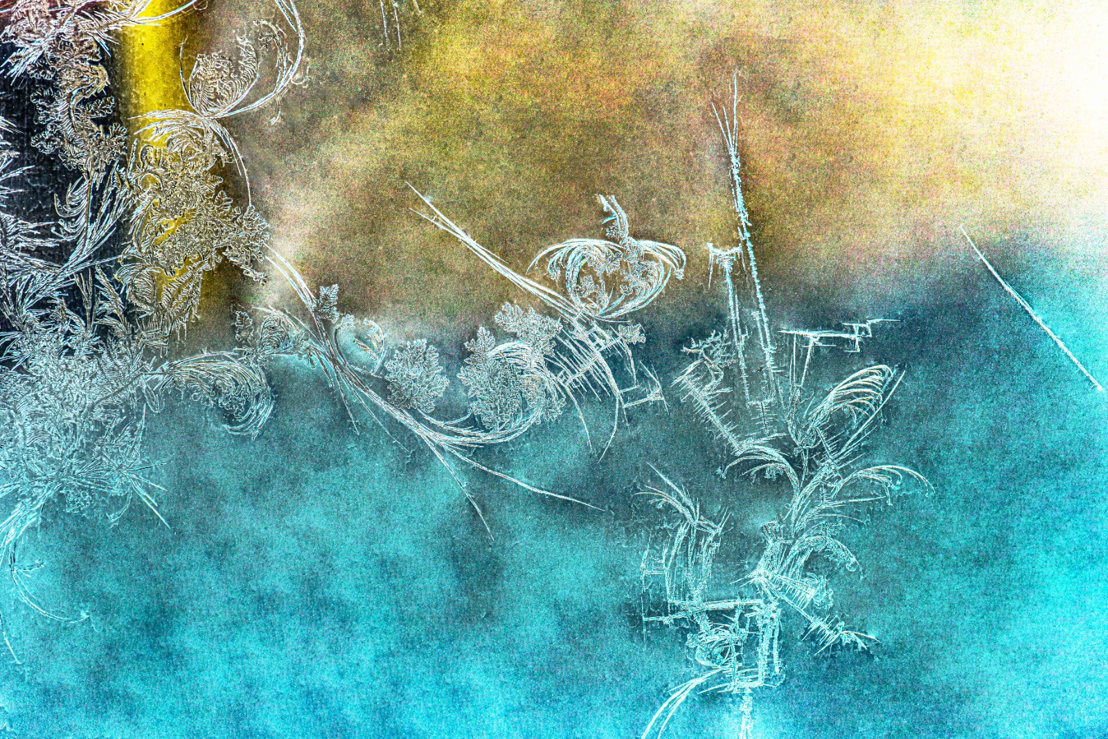 《冰窗花》 (2).jpg