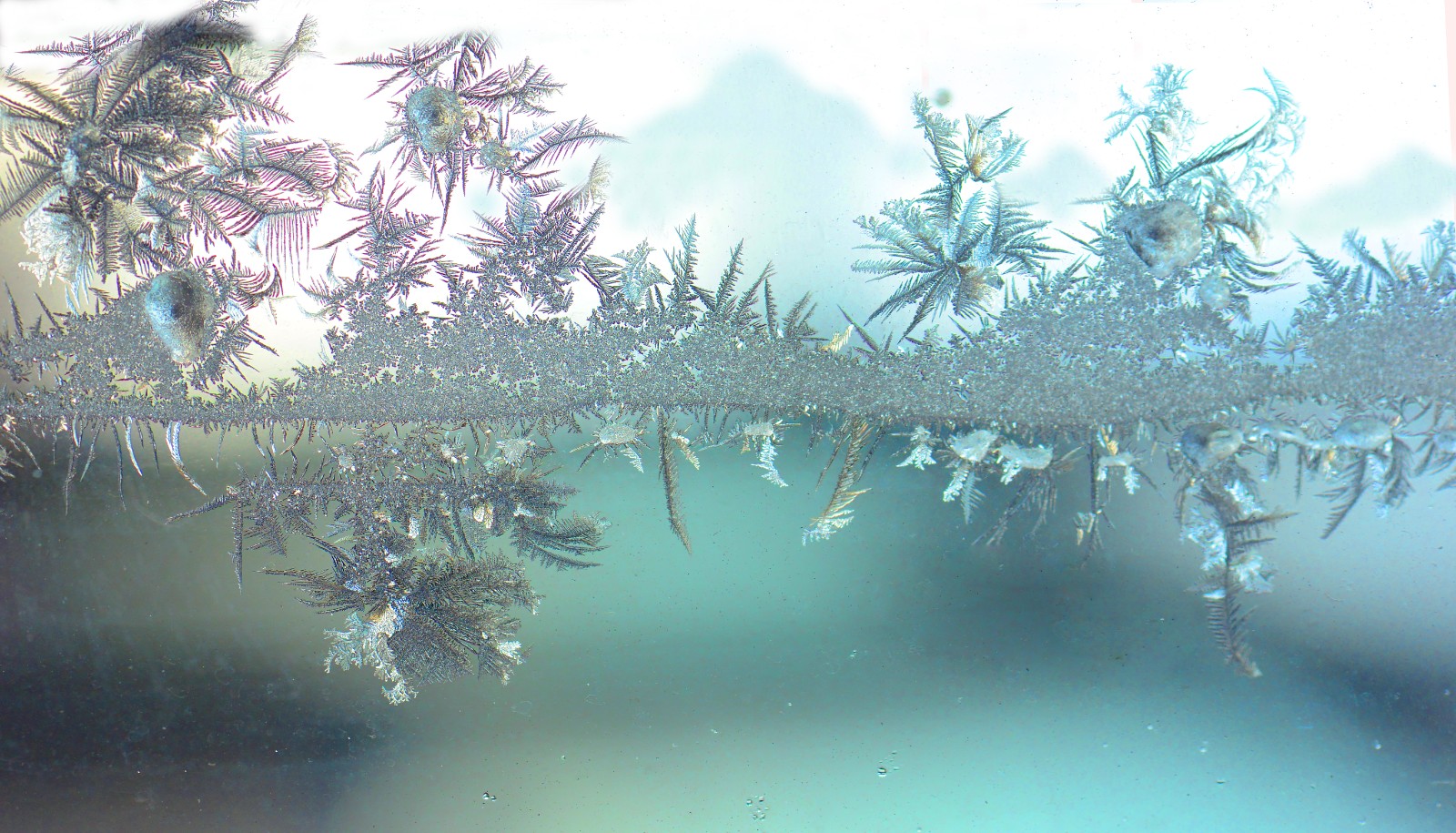 《冰窗花》 (1).jpg