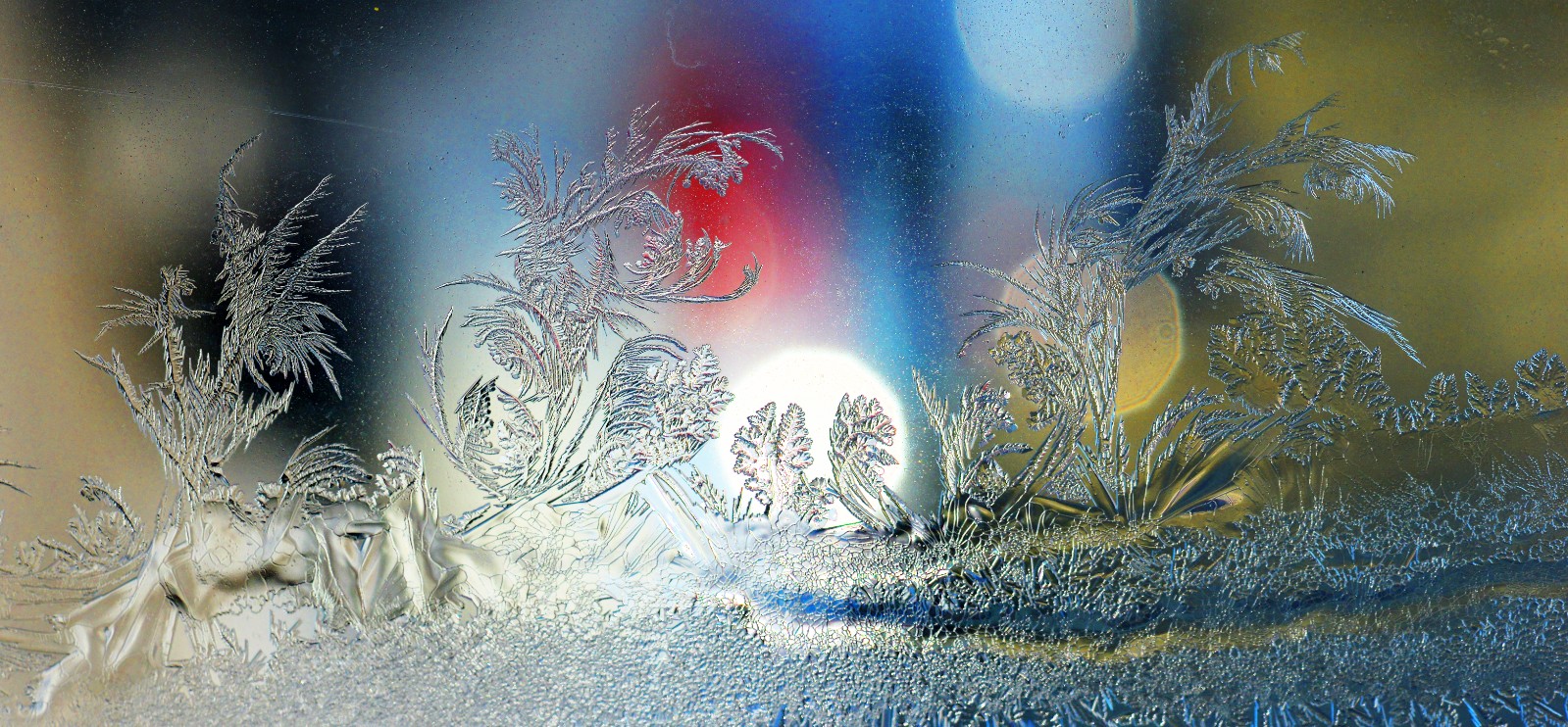 《冰窗花》 (3).jpg